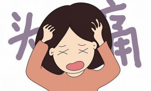 图片2_副本.png